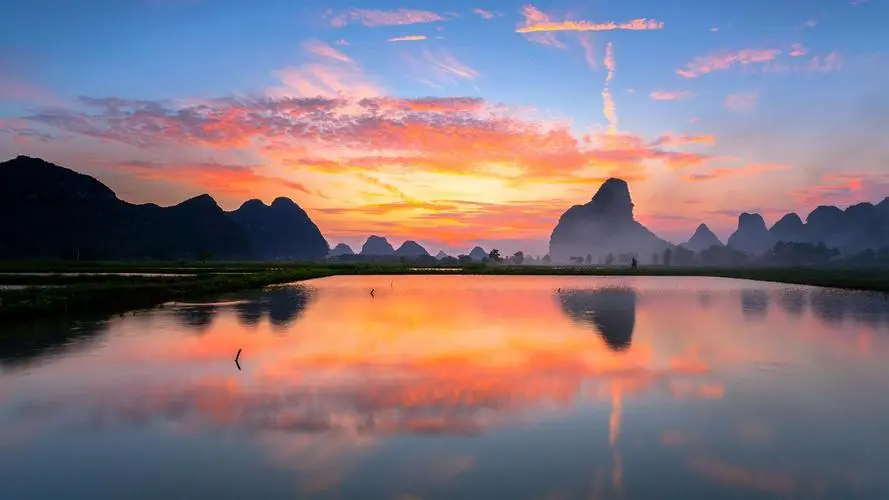 高端智能全自动